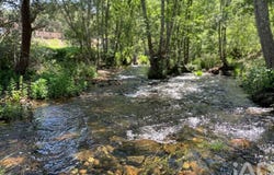 Trancozelos, Viseu 3550