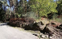 Ribeira De Pena, Vila Real