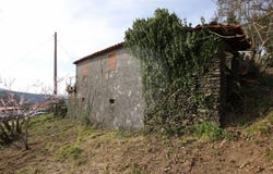 Amonde, Viana Do Castelo 4925