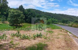 Caldas da Rainha, Leiria District