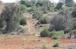Armação De Pêra, Algarve 8365