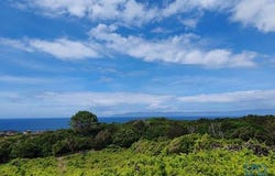 São Roque do Pico, Ilha do Pico 9940-107