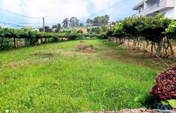 Viana do Castelo, Viana do Castelo District