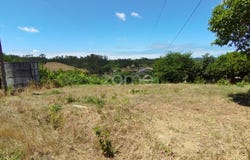 Pombal, Leiria District