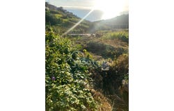 Campanário, Madeira