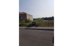 Oliveira do Bairro, Aveiro District