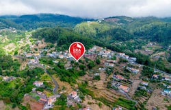 Camacha, Madeira 9135