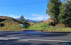 Viana do Castelo, Viana do Castelo District