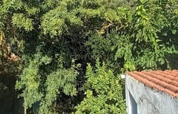 Caldas da Rainha - Nossa Senhora do Pópulo, Leiria District