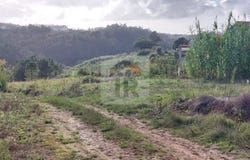 Caldas da Rainha, Leiria District