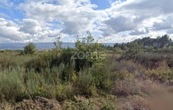 Chaves, Vila Real District
