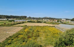 Aver-o-mar, Porto District