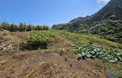 Machico, Ilha da Madeira 9225-240