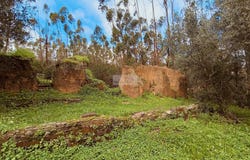 Monchique, Algarve 8550