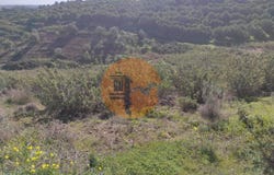 Castro Marim, Algarve