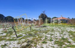 Torrão, Setubal