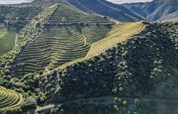 Almendra, GUARDA