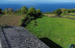 Ilha do Pico, Azores