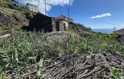 Ilha da Madeira, Madeira