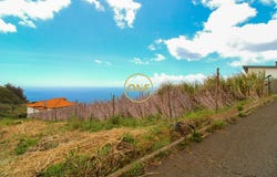 CANHAS, Madeira