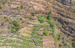 Funchal, Madeira