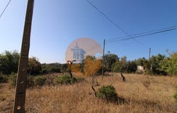 Faro, Faro