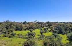 Guia, Algarve 8200