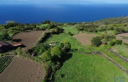 Ilha do Pico, Azores
