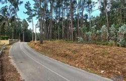 Leiria, Leiria District