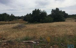 Loulé, Faro 8100-321