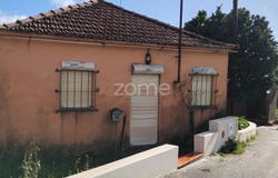 Anadia, Aveiro District