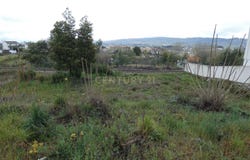 Boidobra, Castelo Branco District