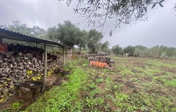 Torrão, Setubal