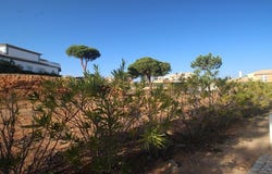 Faro, Algarve