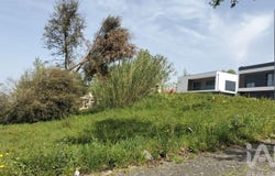Leiria, Leiria District