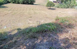 Leiria, Leiria District