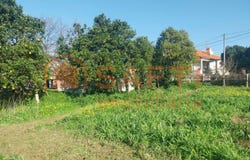 Bela, Viana do Castelo District