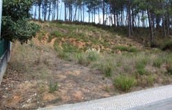 Pombal, Leiria District