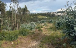 Coimbra, Coimbra District