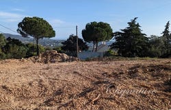 Santa Bárbara de Nexe, Algarve