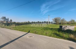 Leiria, Leiria District