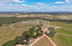 Sousel Municipality, Portalegre 7470