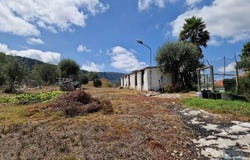 Leiria, Leiria District