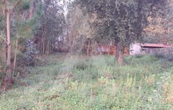 Fermentelos, Aveiro District