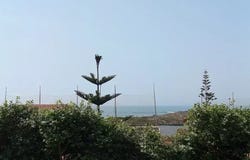 Arcozelo, Porto District 4410-467