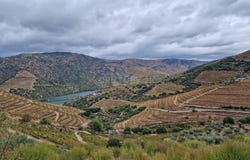 Vale de Figueira, Viseu District