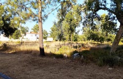 Azeitão (São Lourenço e São Simão), Setúbal, Setubal