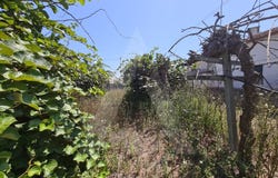 Bustos, Aveiro District