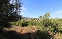 Loule, Faro