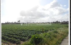 Montijo e Afonsoeiro, Setubal